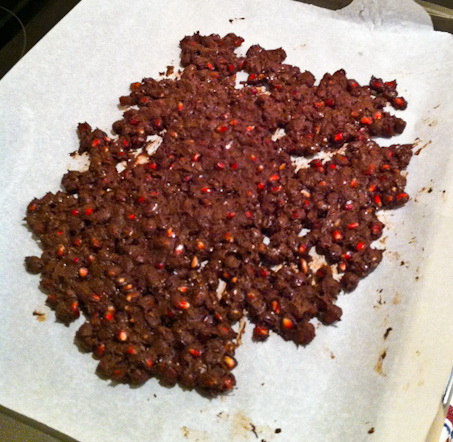Chocolate Pomegranate Seeds Recipe for Kids PakMums.com