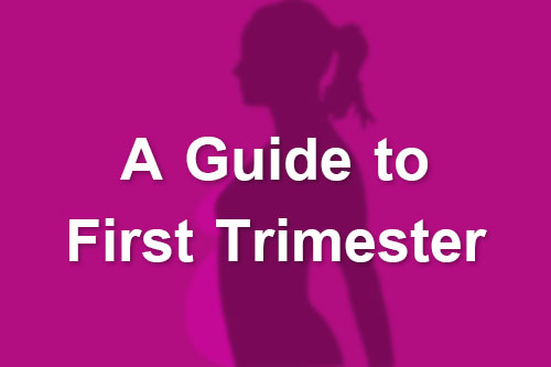 A Guide to First Trimester