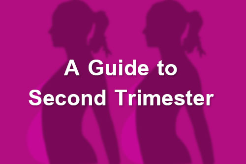 A Guide to Second Trimester