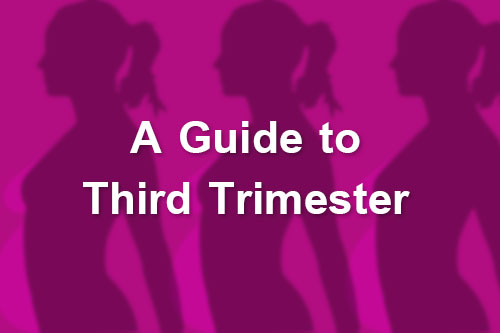 third trimester